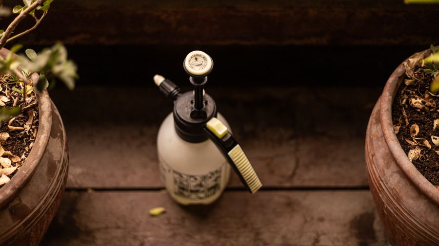 nicotine salt juice